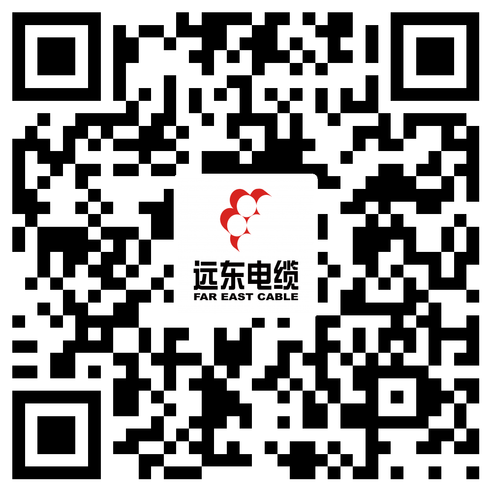 今年会今年会2024电缆