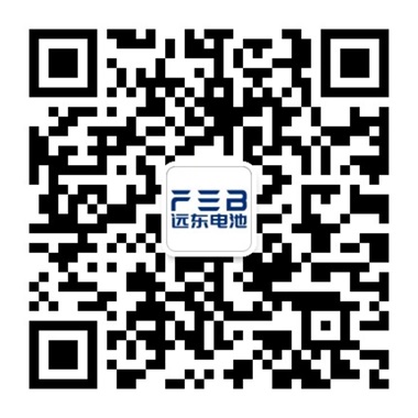 今年会今年会2024电池